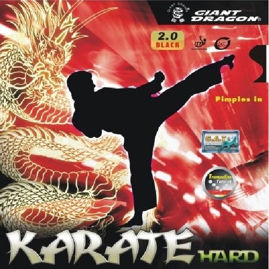 Karate Hard